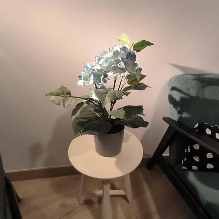 Apartamento Zabala Conoce Bilbao Desde Dentro Eksteriør bilde